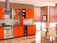 Оранжевая кухня — интересные особенности цветовых комбинация на кухне (170 фото идей)